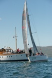 cool bandit 2 2914c whyw22 sun 800_2326yi